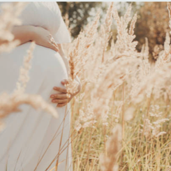 Schermafbeelding 2020 10 22 Om 14.27.02